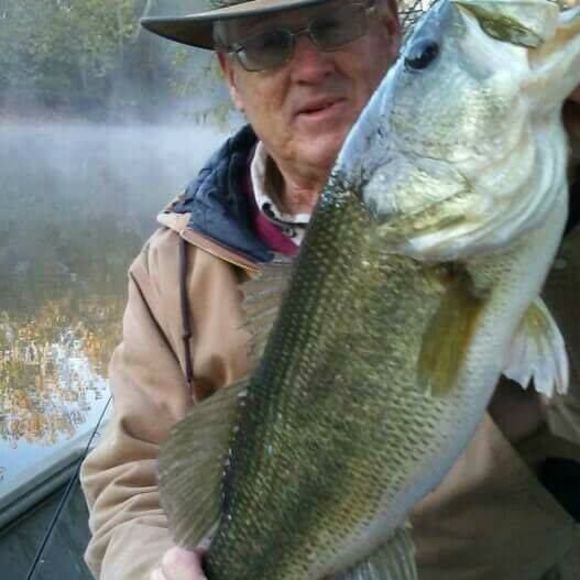 Meet your Posher, Randy - Picture 1 of 1